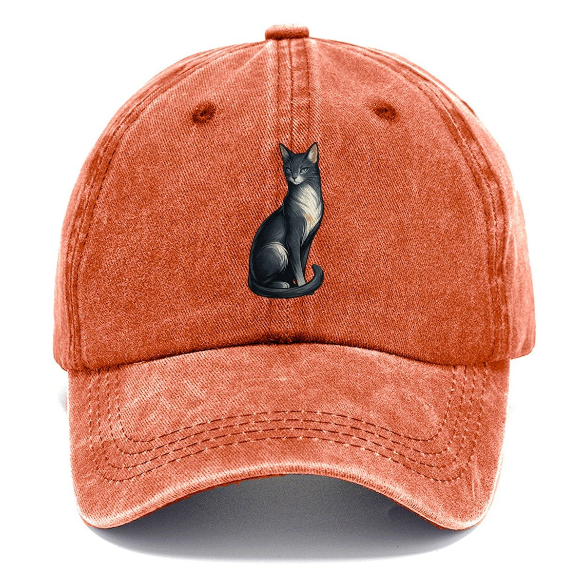 Blue-Eyed Gray Cat Classic Cap – Terracotta Clay