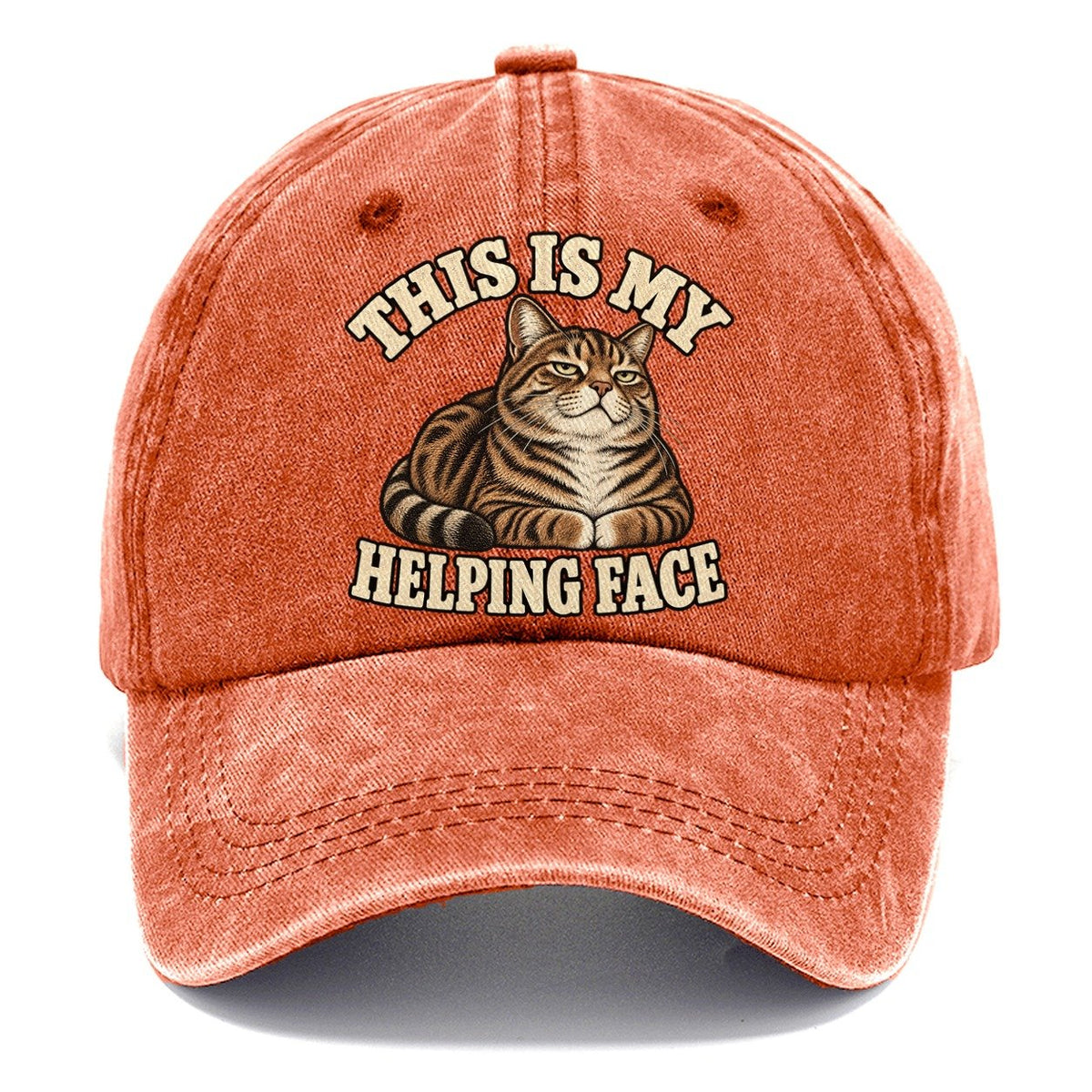 Tabby Helping Face Character Club Classic Cap – Terracotta Clay