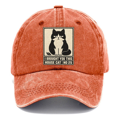 I Brought You This Neko Says No Classic Cap – Terracotta Clay