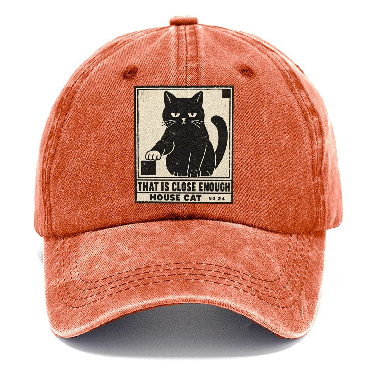 That Is Close Enough Neko Says No Classic Cap – Terracotta Clay