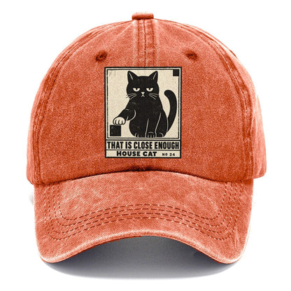 That Is Close Enough Neko Says No Classic Cap – Terracotta Clay