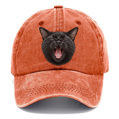 Black Cat Velvet Yawn Pastimes Companions Classic Cap – Terracotta Clay