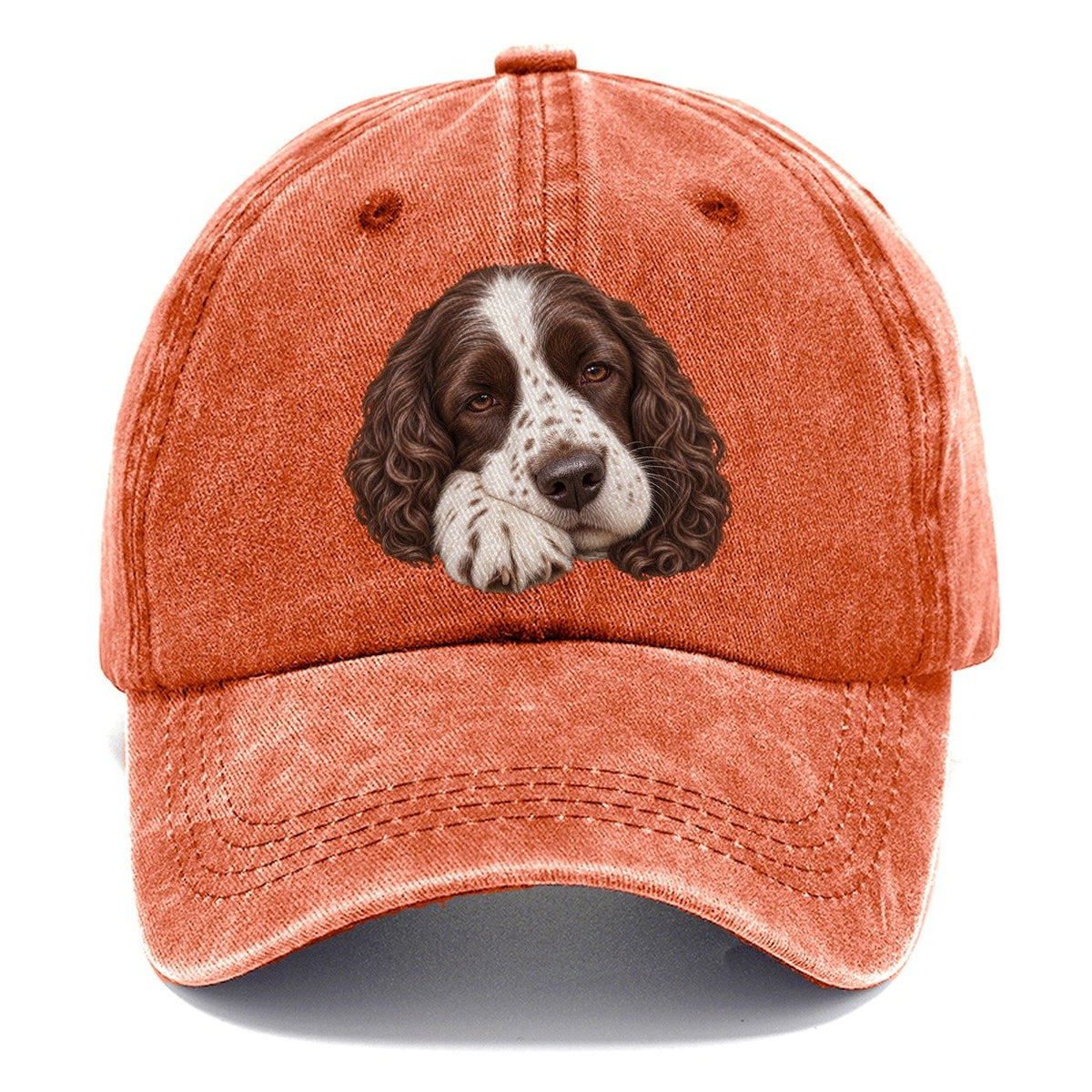 Springer Sleepy Paw Fold Pastimes Companions Classic Cap – Terracotta Clay