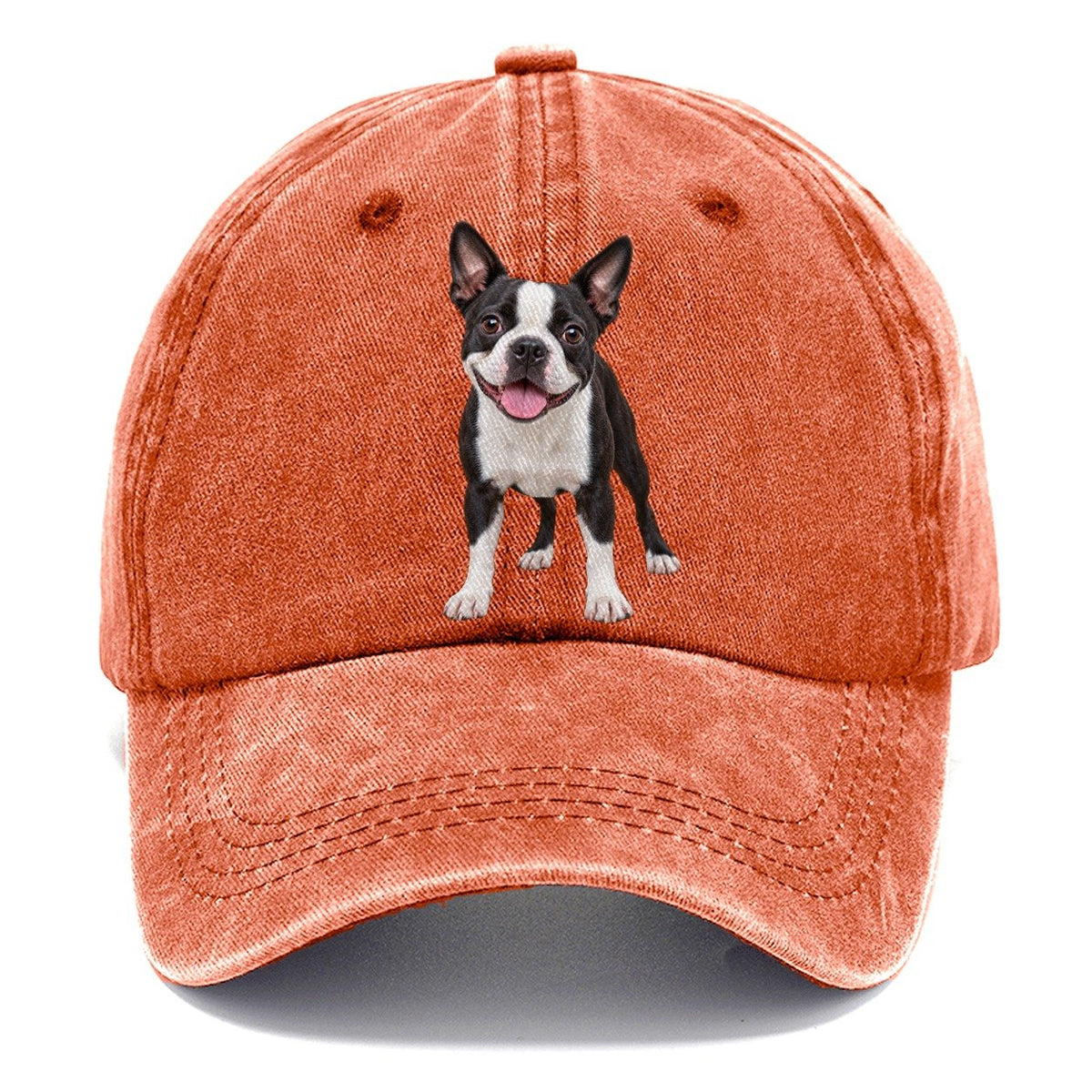 Boston Terrier Standing Top Breeds Classic Cap – Terracotta Clay