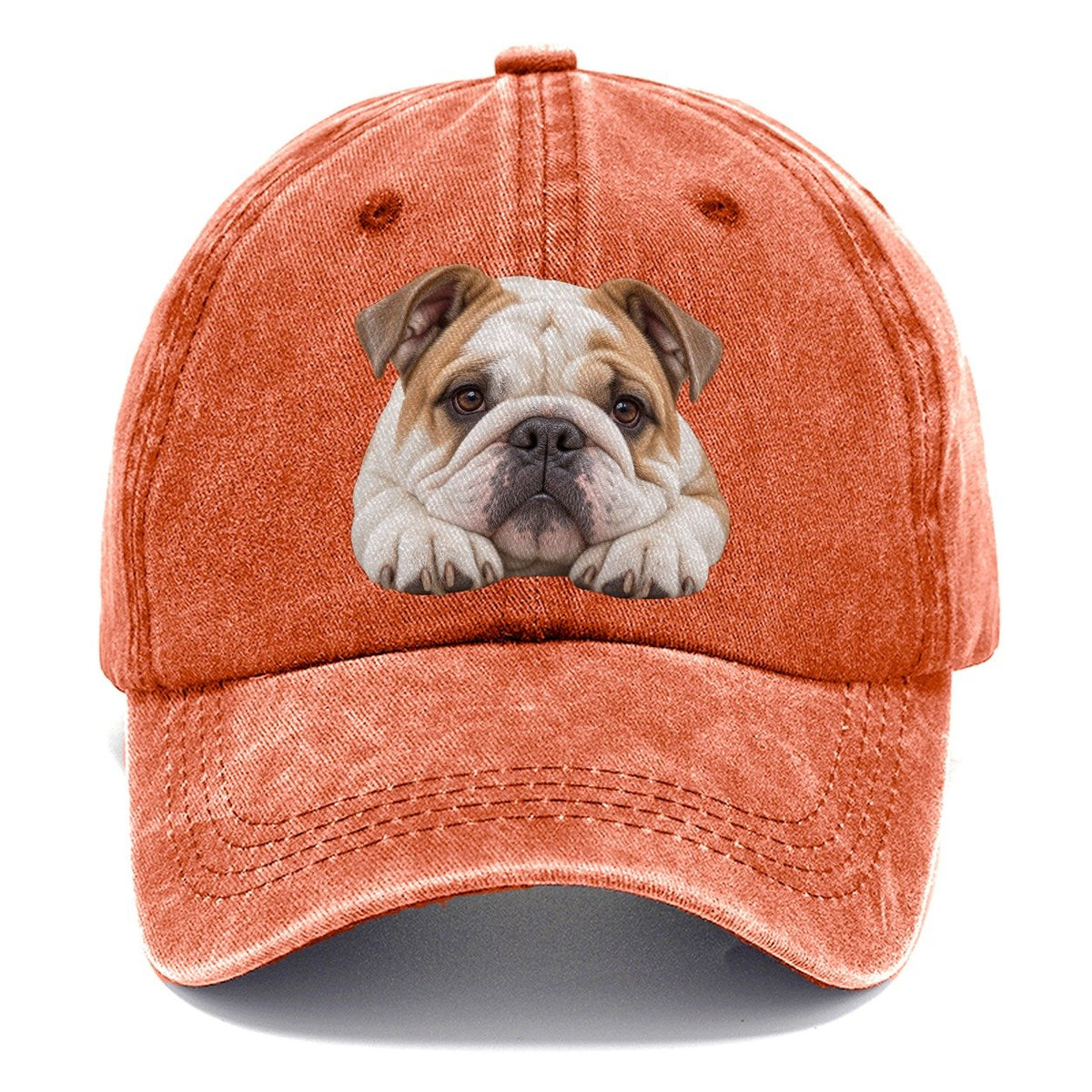 Bulldog Paw Pillow Character Club Classic Cap – Terracotta Clay