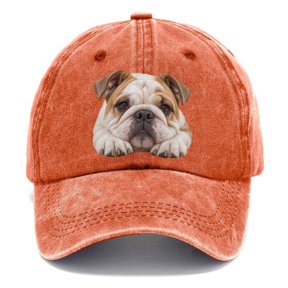 Bulldog Paw Pillow Character Club Classic Cap – Terracotta Clay
