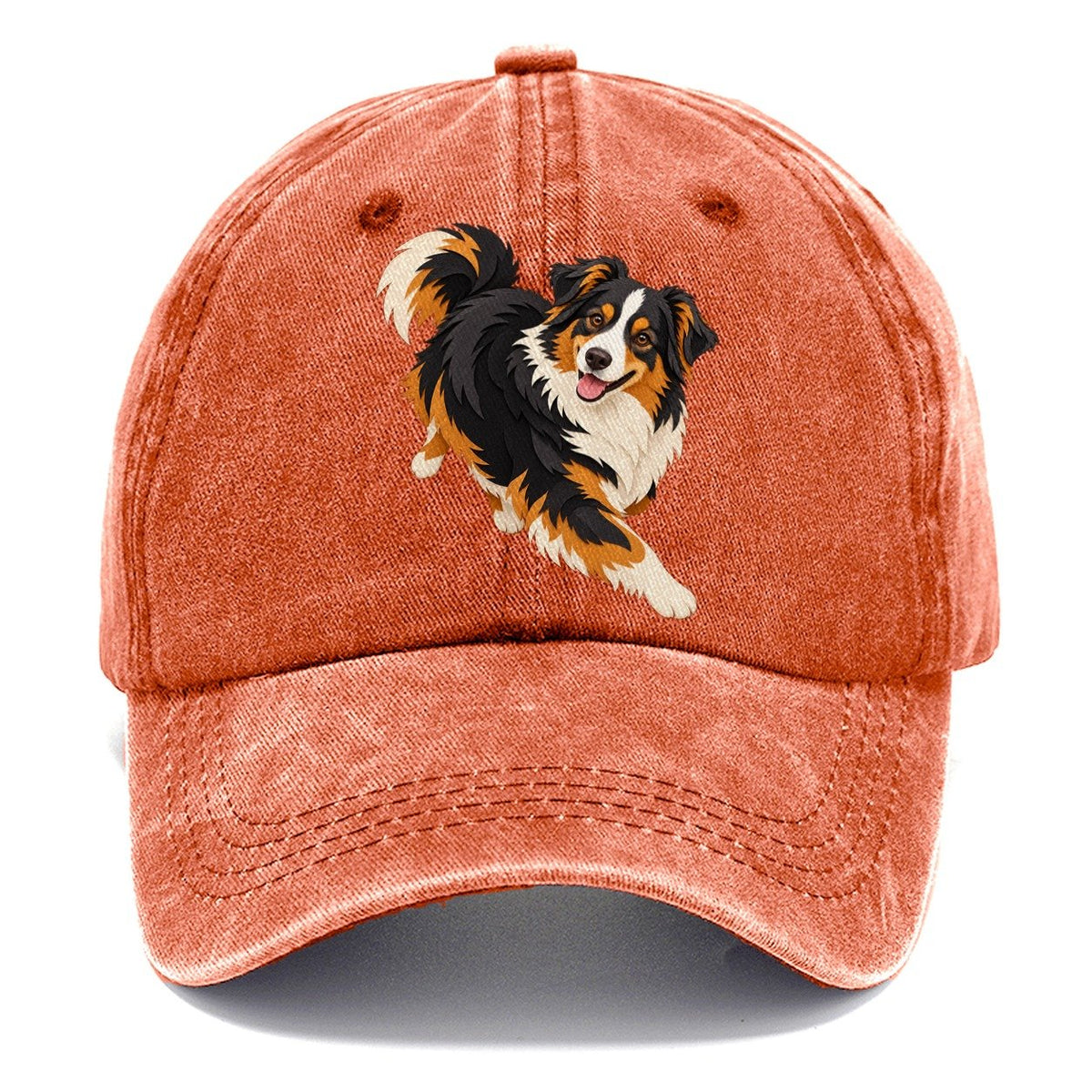 Running Australian Shepherd Classic Cap – Terracotta Clay