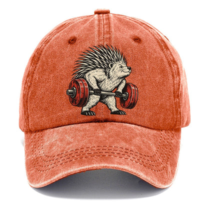 Porcupine Quill Rows Animal Lifters Classic Cap – Terracotta Clay