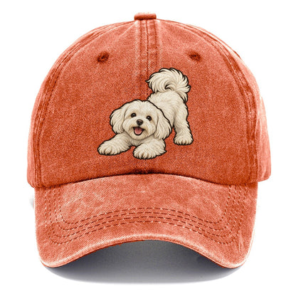 Maltese Play Bow Fan Favorites Classic Cap – Terracotta Clay