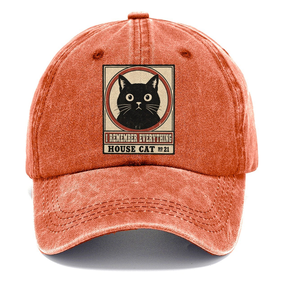 I Remember Everything Neko Says No Classic Cap – Terracotta Clay