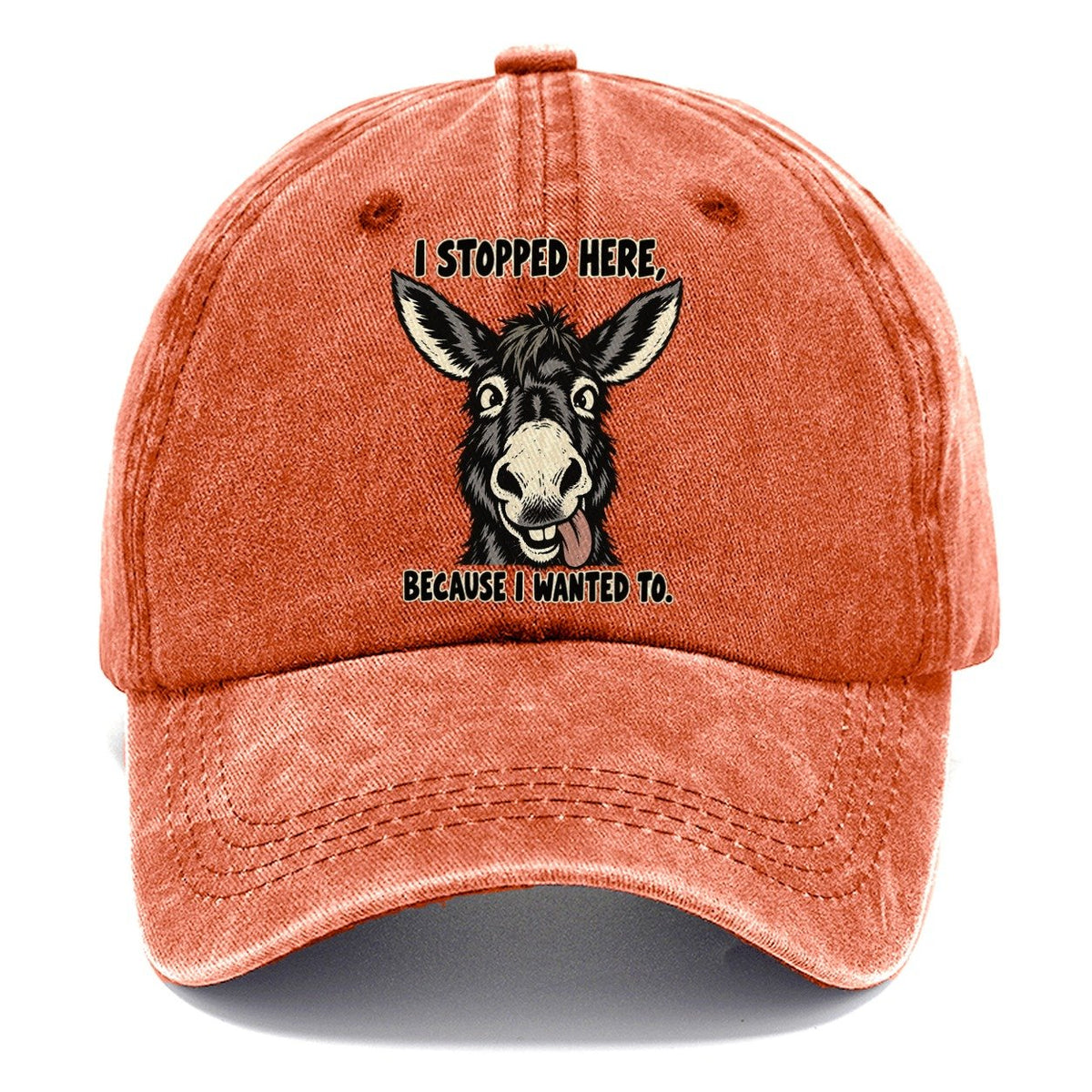 I Stopped Here Feral Logic Classic Cap – Terracotta Clay