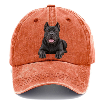 Cane Corso Lying Down Top Breeds Classic Cap – Terracotta Clay