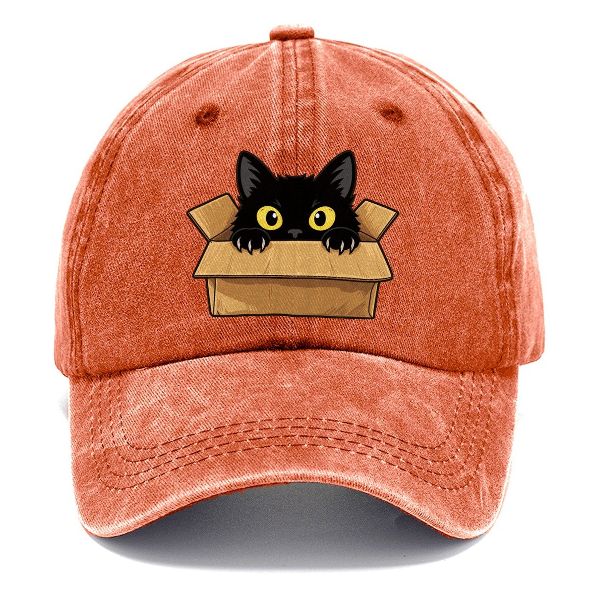 Black Cat Cardboard Box Fan Favorites Classic Cap – Terracotta Clay