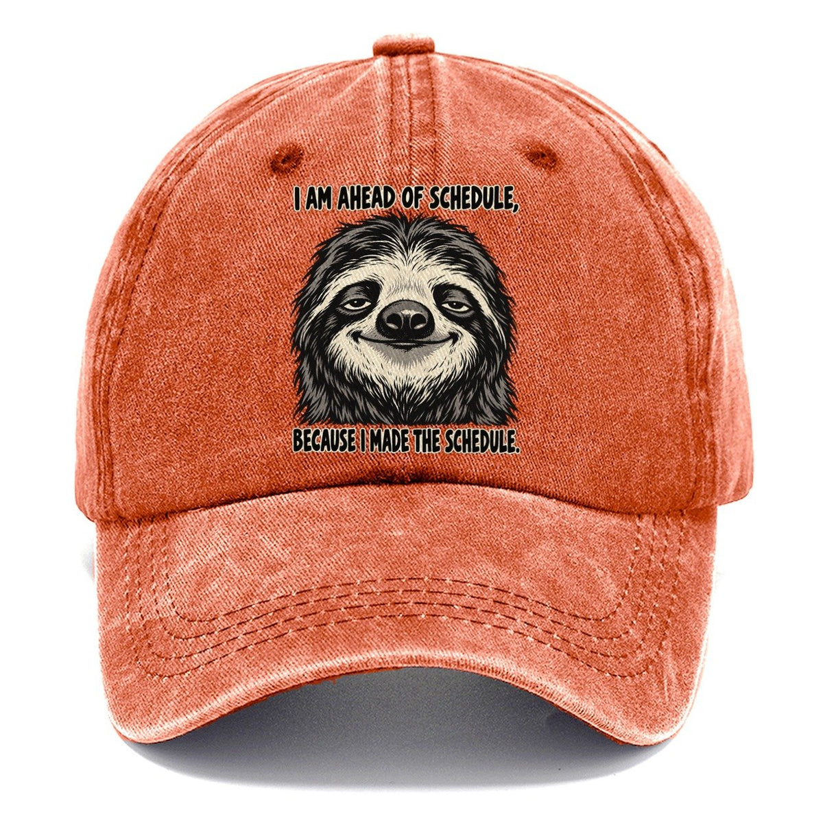 I Am Ahead Of Schedule Feral Logic Classic Cap – Terracotta Clay