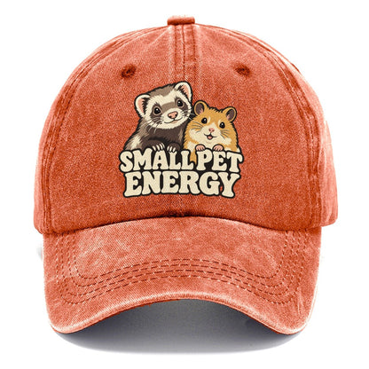 Small Pet Energy Small Pet Logos Classic Cap – Terracotta Clay