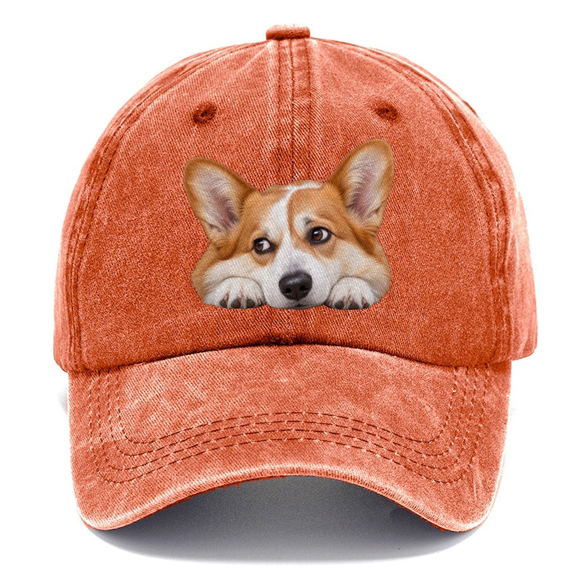Corgi Resting Chin Character Club Classic Cap – Terracotta Clay