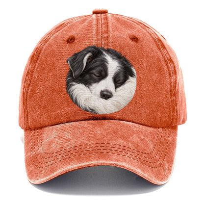 Border Collie Ruff Tuck Pastimes Companions Classic Cap – Terracotta Clay