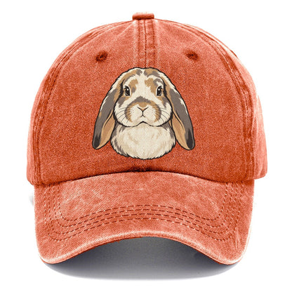 Lop Rabbit Soft Ears Small Pet Logos Classic Cap – Terracotta Clay