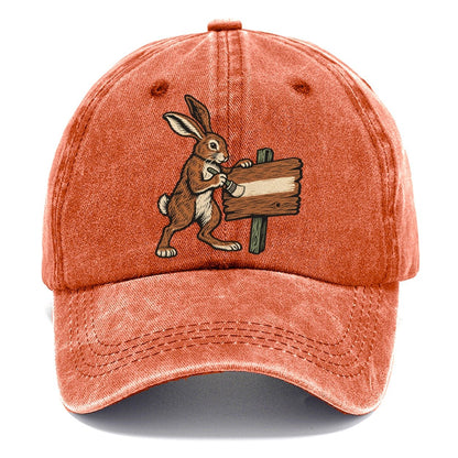 Hare Sign Painter Sundown Familiars Classic Cap – Terracotta Clay