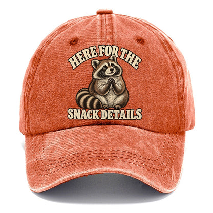 Raccoon Snack Details Character Club Classic Cap – Terracotta Clay