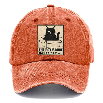 The Box Is Mine Neko Says No Classic Cap – Terracotta Clay