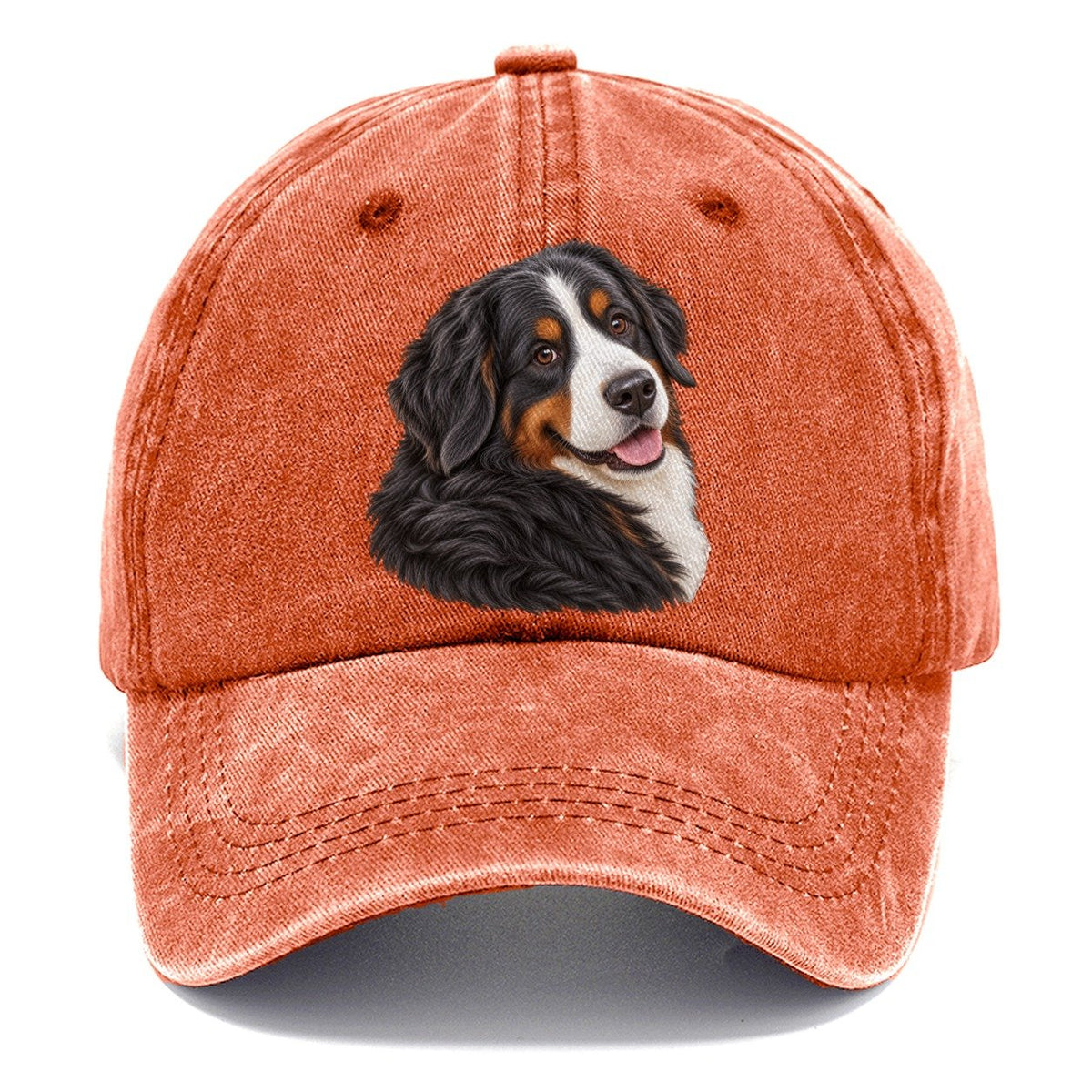 Bernese Over Shoulder Welcome Pastimes Companions Classic Cap – Terracotta Clay