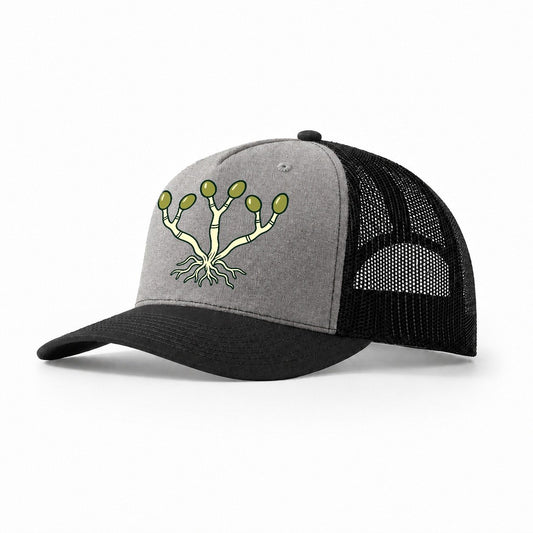 Mycelium Network Foraging And Mycology Trucker Hat – Grey Black