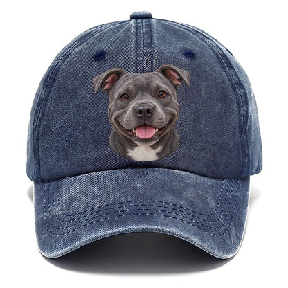 Staffy Blue Velvet Grin Pastimes Companions Classic Cap – Twilight Navy