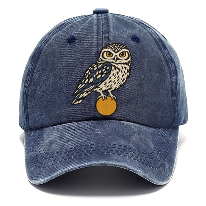 Burrowing Owl Sunrise Sundown Familiars Classic Cap – Twilight Navy
