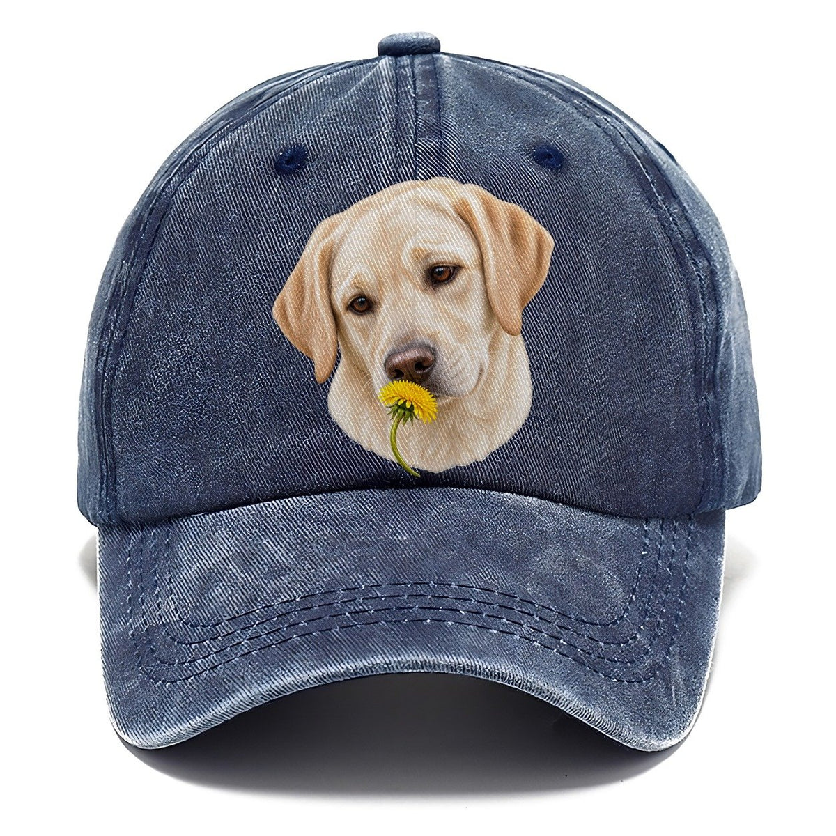 Cream Labrador Dandelion Pause Pastimes Companions Classic Cap – Twilight Navy