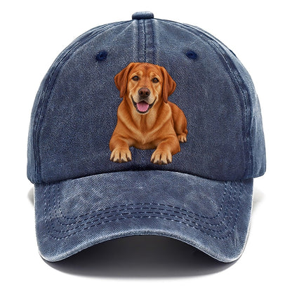 Fox Red Labrador Classic Cap – Twilight Navy