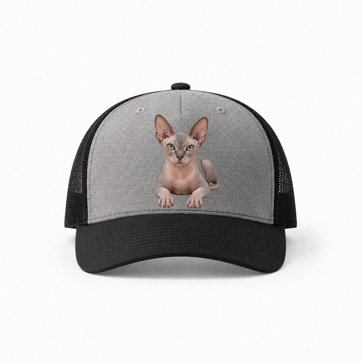 Grey-Black — front view