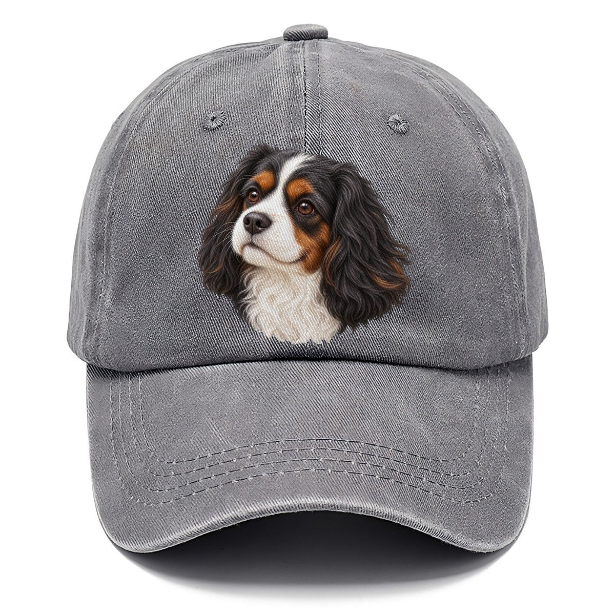 Cavalier Tricolour Smile Pastimes Companions Classic Cap – Urban Haze