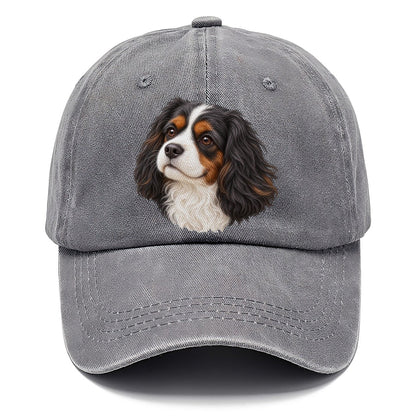 Cavalier Tricolour Smile Pastimes Companions Classic Cap – Urban Haze
