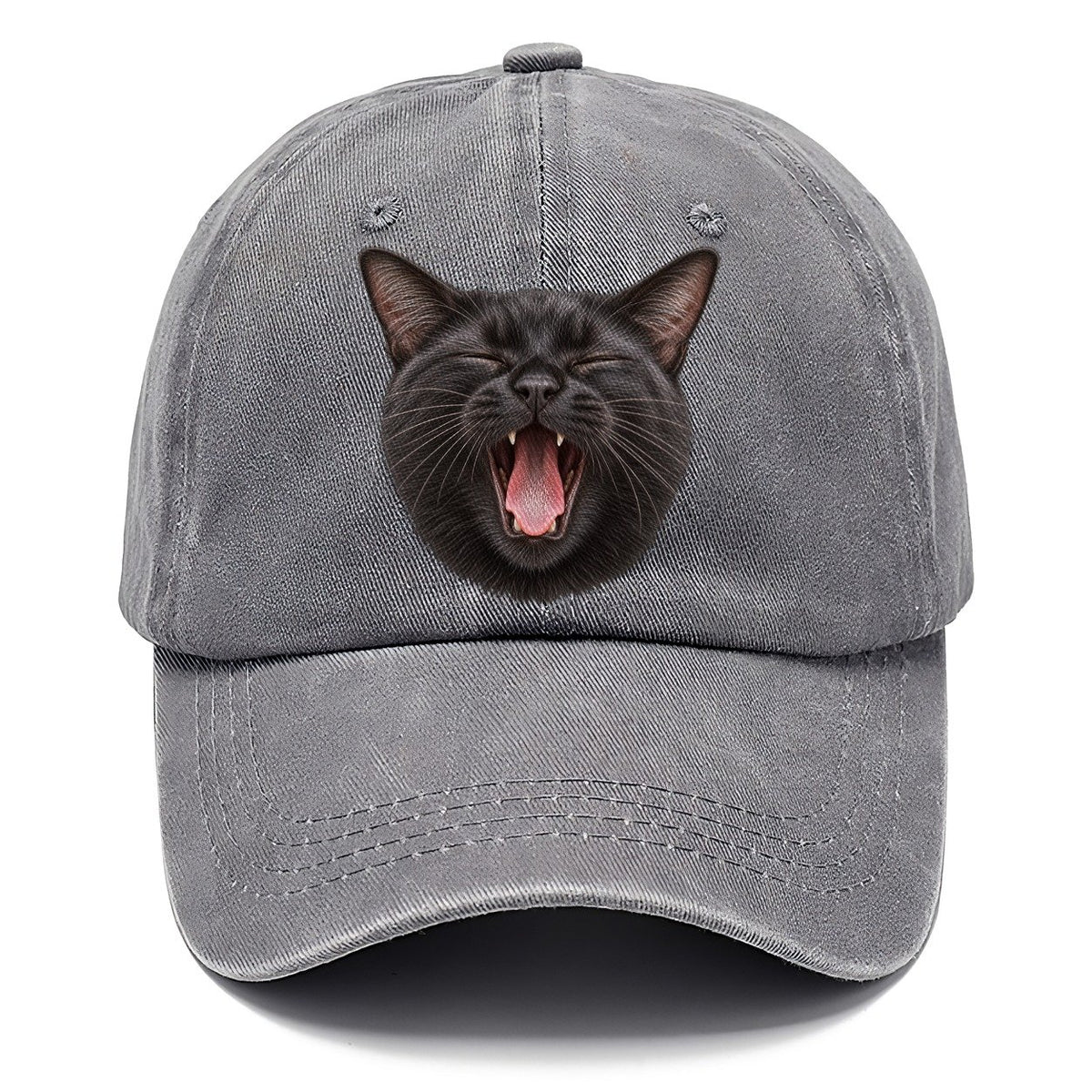 Black Cat Velvet Yawn Pastimes Companions Classic Cap – Urban Haze