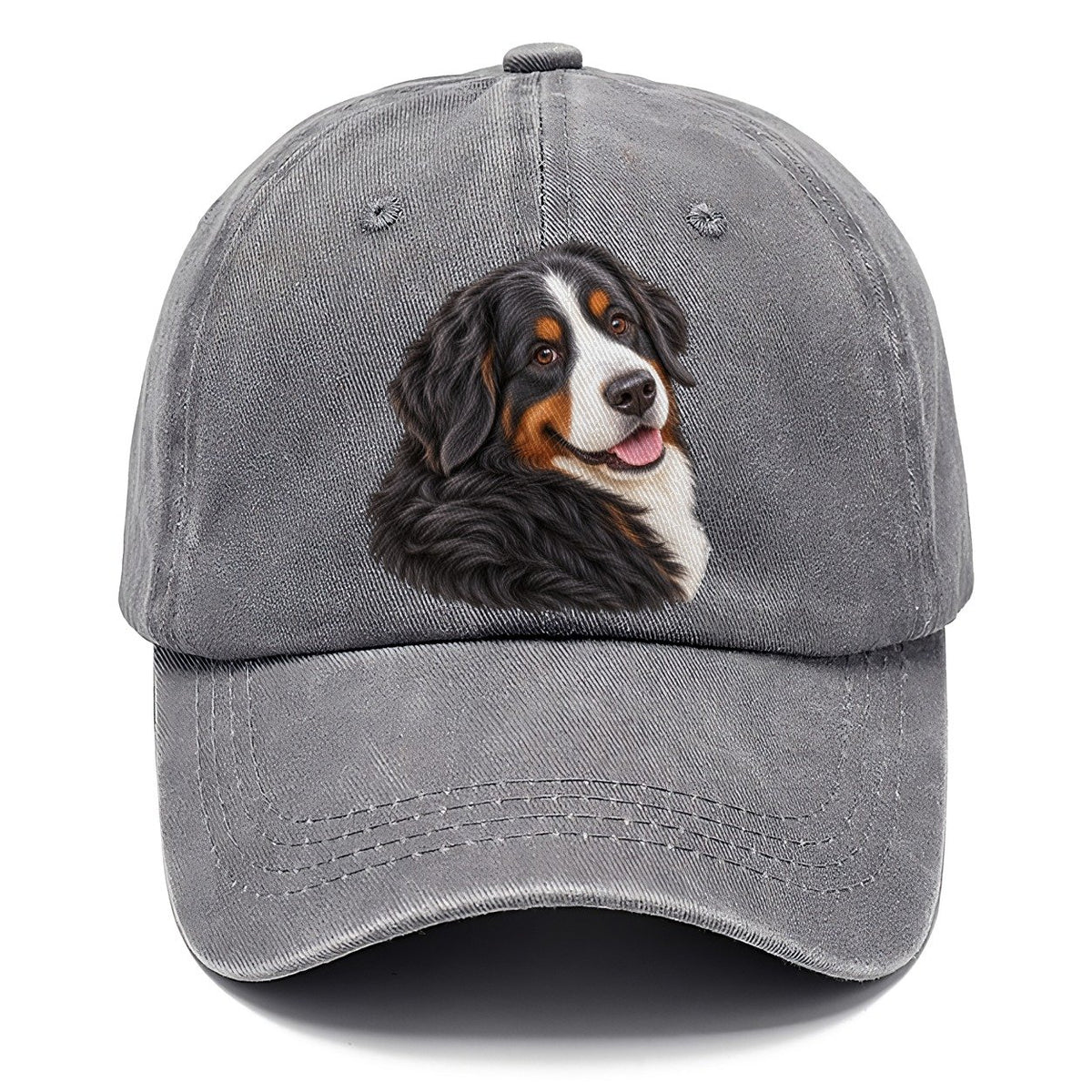 Bernese Over Shoulder Welcome Pastimes Companions Classic Cap – Urban Haze