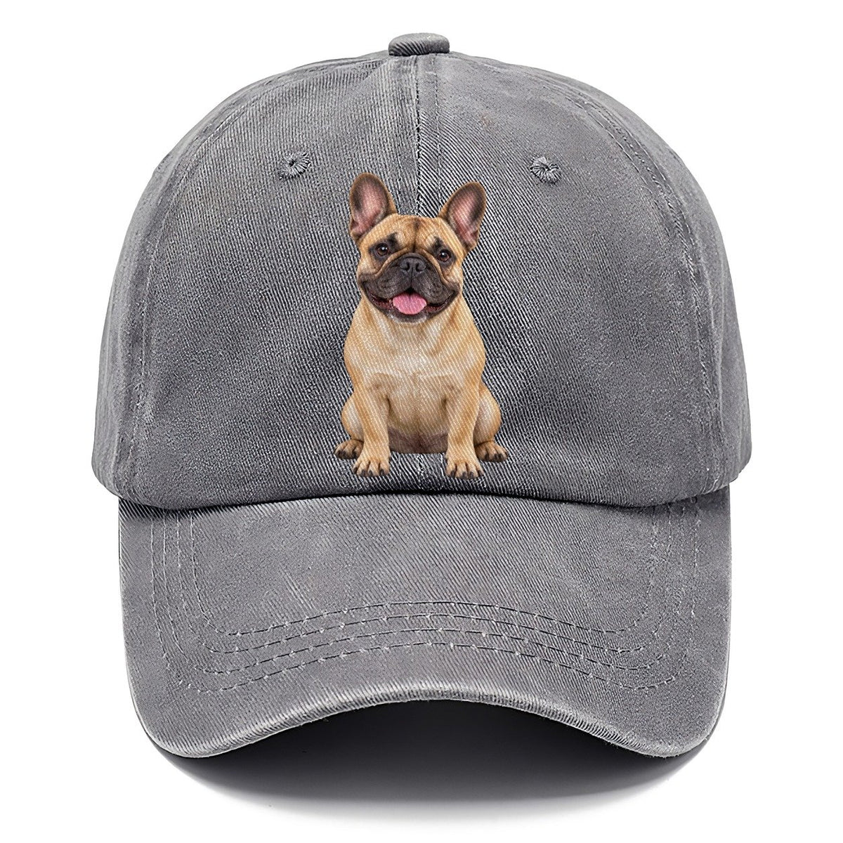 French Bulldog Sitting Upright Top Breeds Classic Cap – Urban Haze