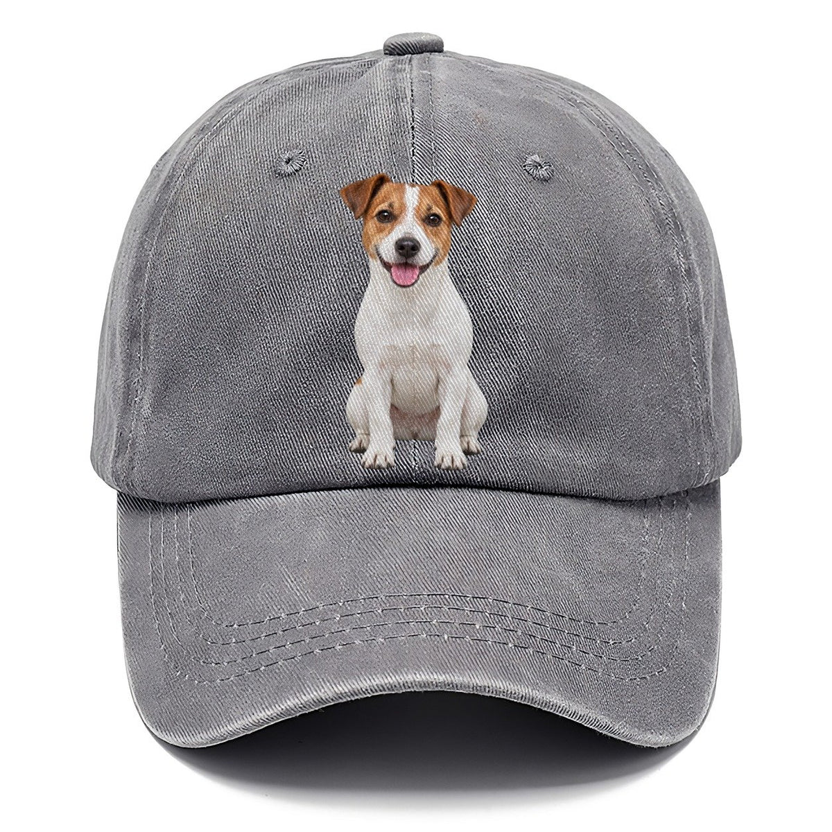 Jack Russell Terrier Sitting Top Breeds Classic Cap – Urban Haze