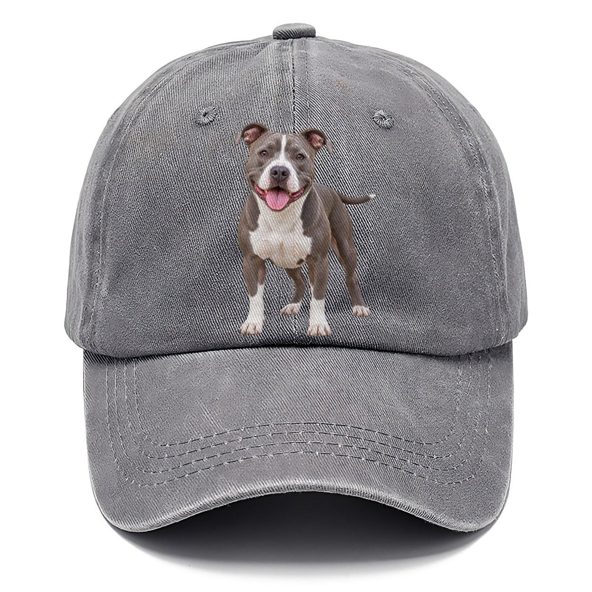 Pit Bull Terrier Standing Top Breeds Classic Cap – Urban Haze