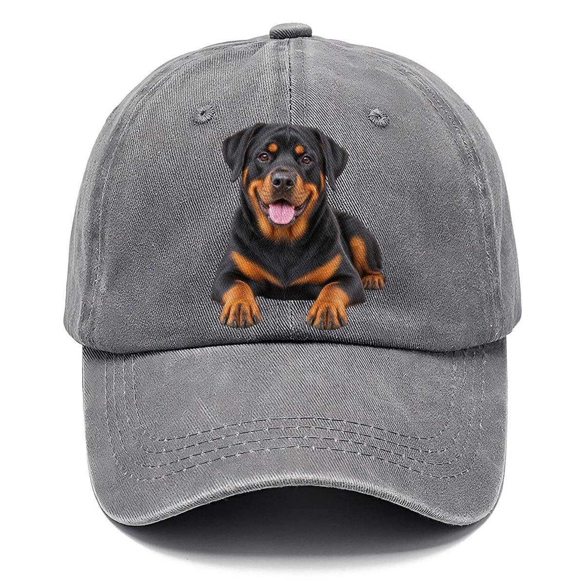 Rottweiler Sitting Top Breeds Classic Cap – Urban Haze