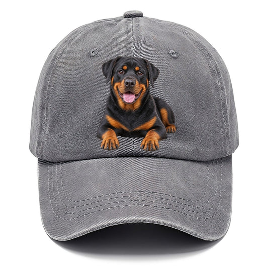 Rottweiler Sitting Top Breeds Classic Cap – Urban Haze