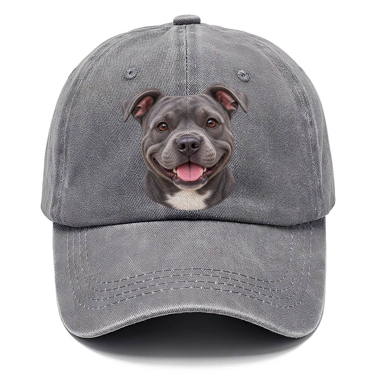 Staffy Blue Velvet Grin Pastimes Companions Classic Cap – Urban Haze