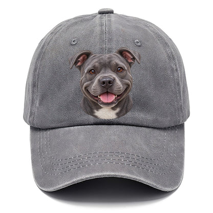 Staffy Blue Velvet Grin Pastimes Companions Classic Cap – Urban Haze
