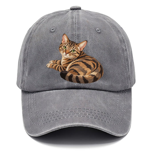 Curled Tabby Cat Classic Cap – Urban Haze