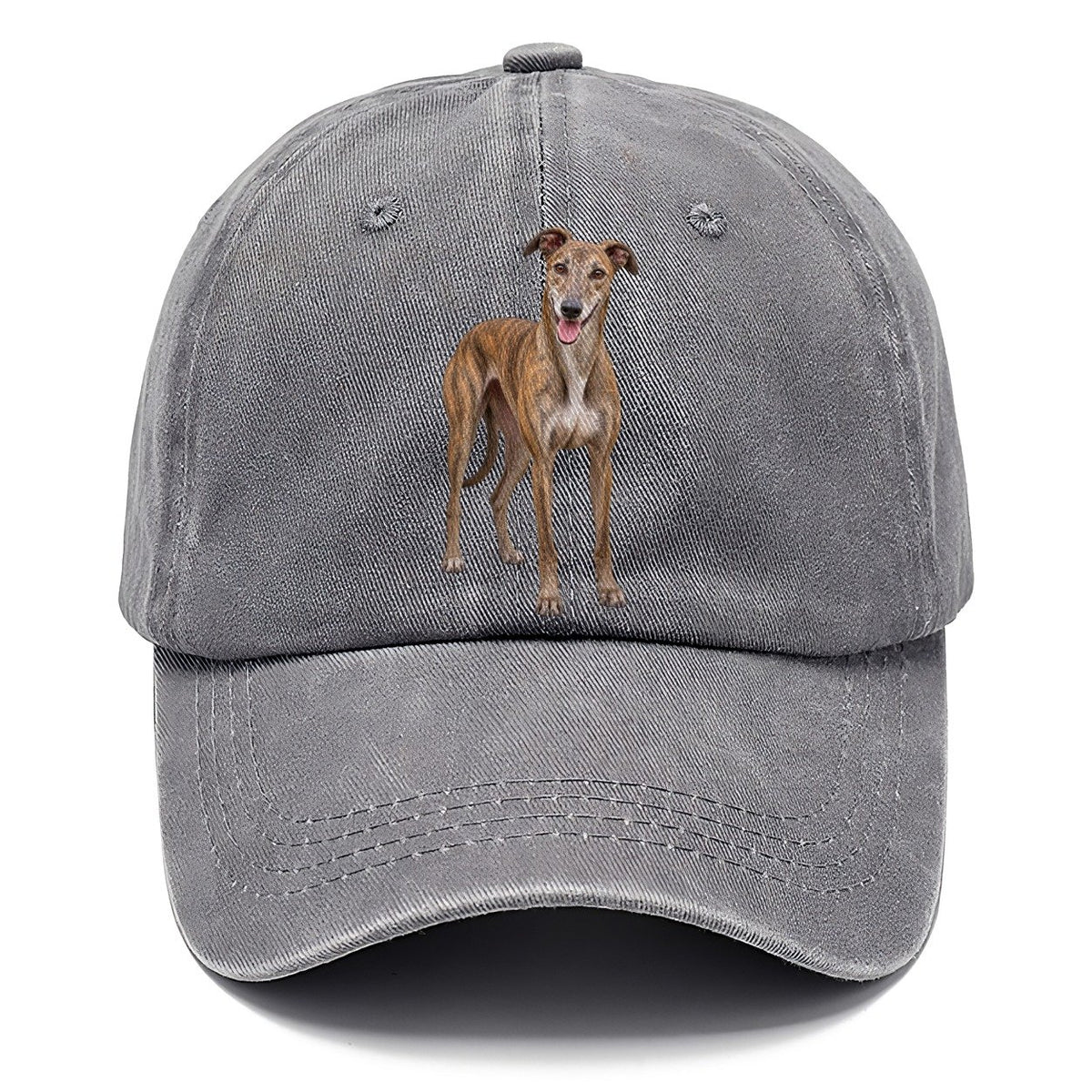 Greyhound Standing Top Breeds Classic Cap – Urban Haze