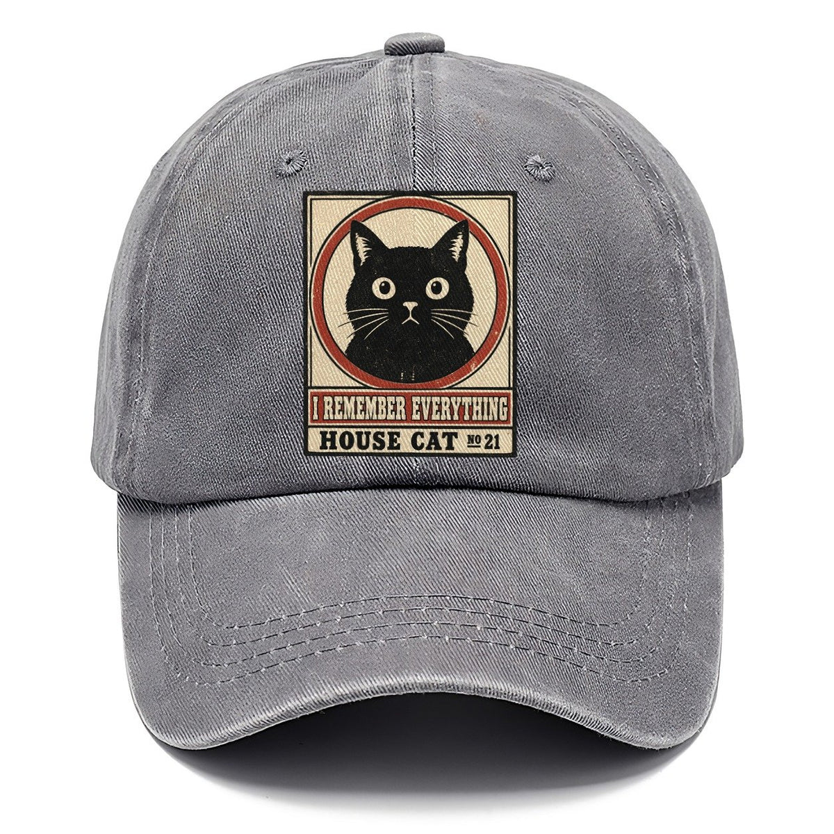 I Remember Everything Neko Says No Classic Cap – Urban Haze
