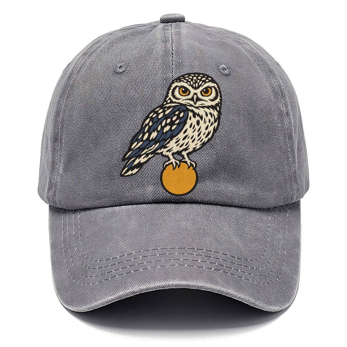 Burrowing Owl Sunrise Sundown Familiars Classic Cap – Urban Haze