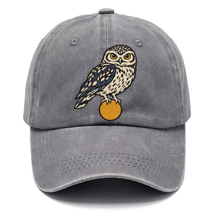 Burrowing Owl Sunrise Sundown Familiars Classic Cap – Urban Haze