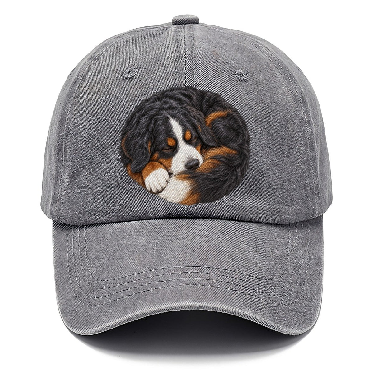 Bernese Round Hearth Nap Pastimes Companions Classic Cap – Urban Haze