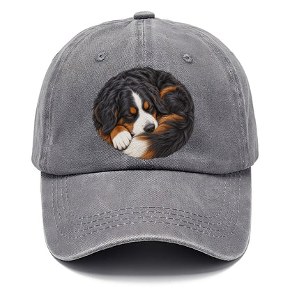 Bernese Round Hearth Nap Pastimes Companions Classic Cap – Urban Haze